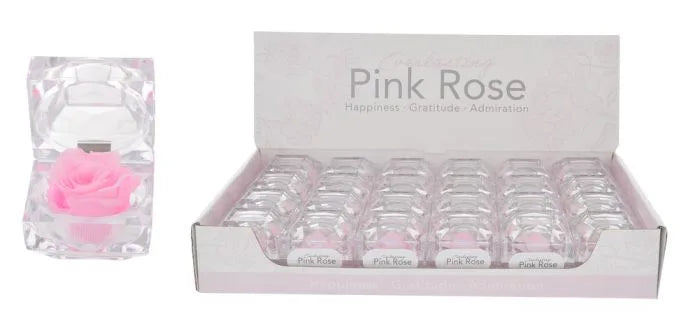 EVERLASTING PINK ROSE BOX