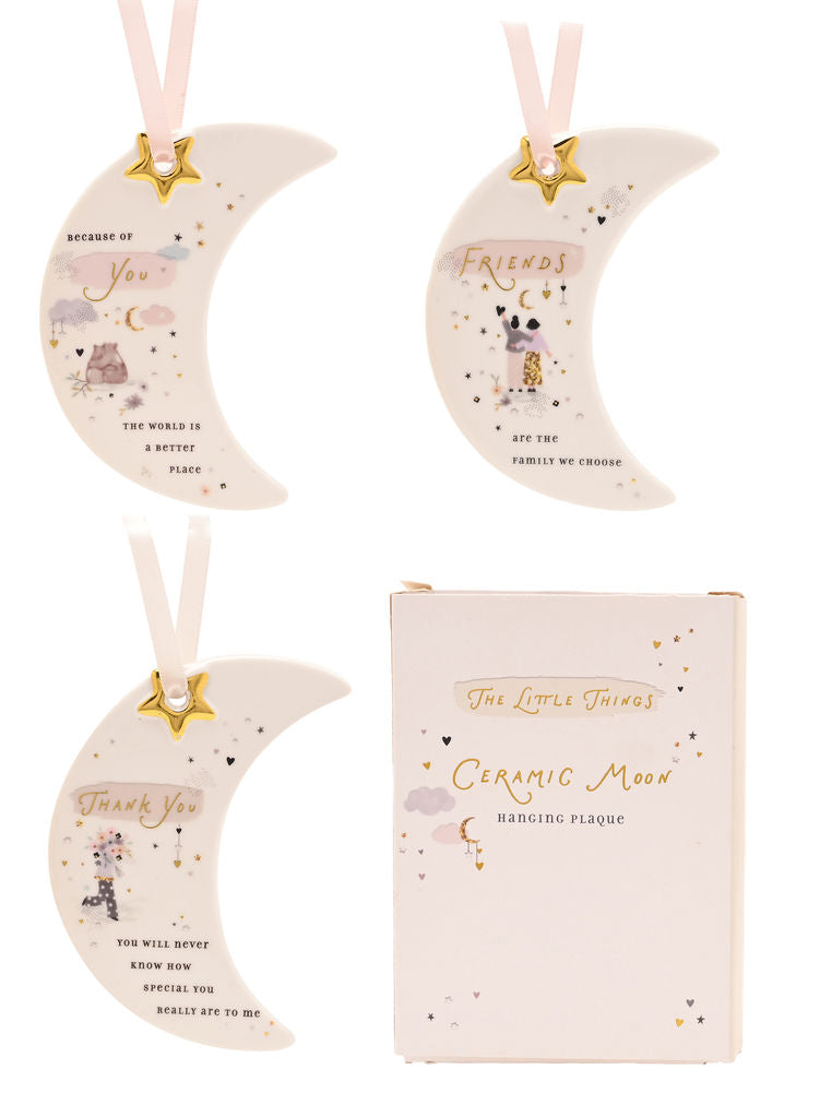 Little Things Hanging Plaque
