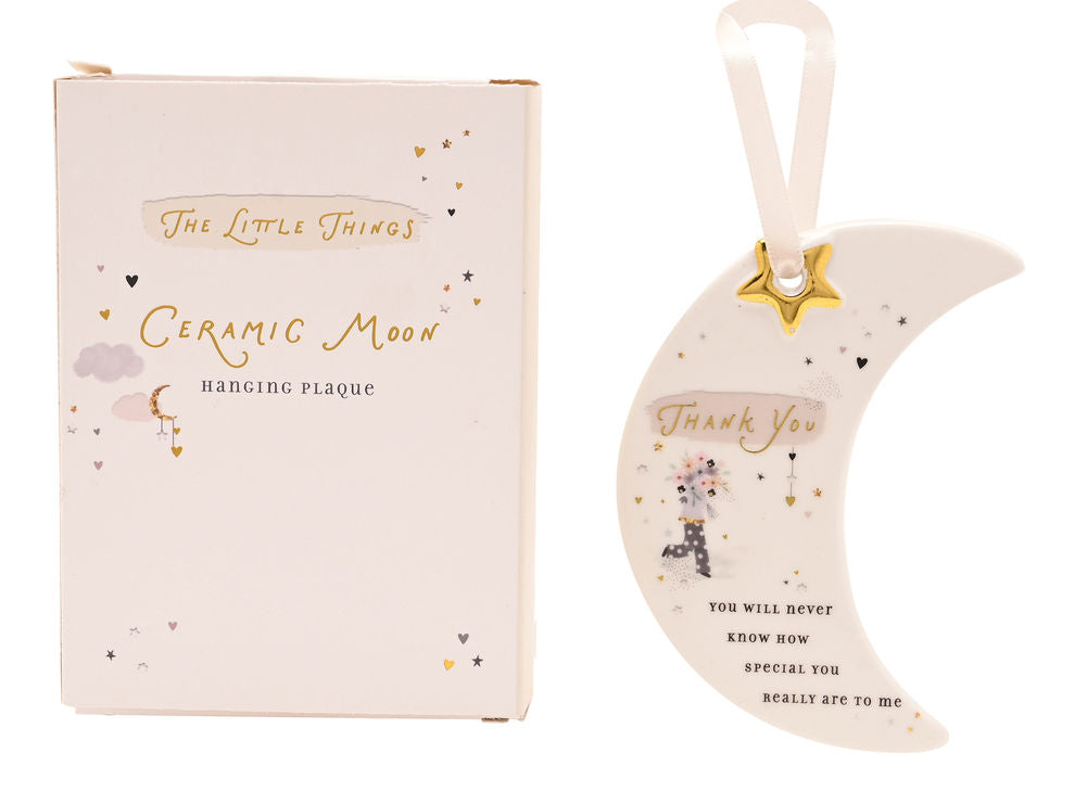 Little Things Hanging Plaque