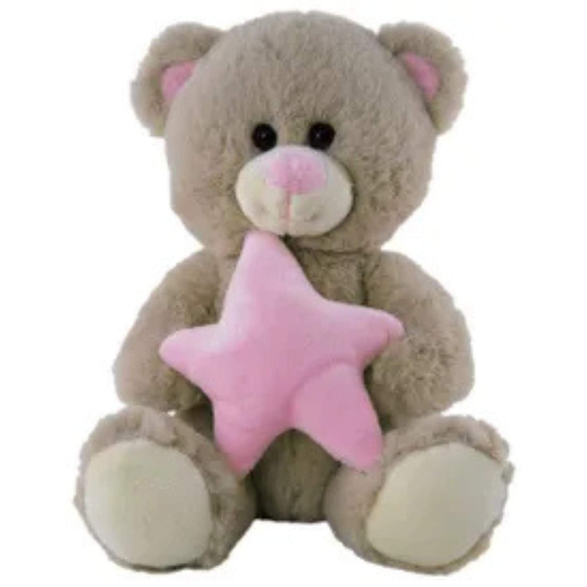 BEAR WITH PINK STAR 21CM