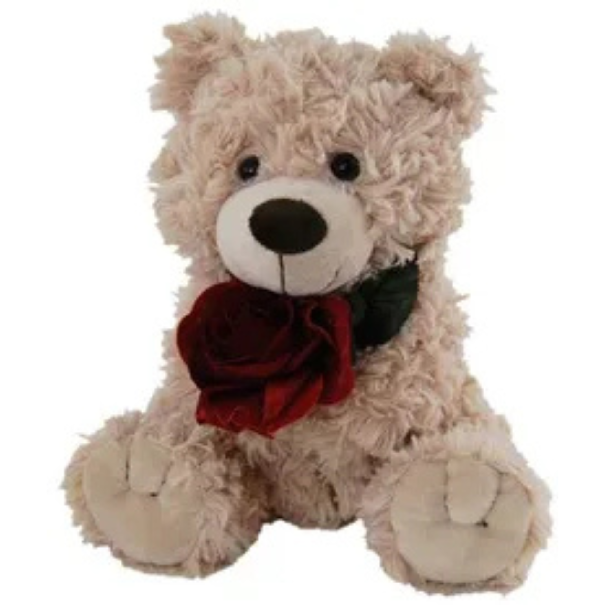 BEIGE TEDDY BEAR <br>WITH RED ROSE<br>TILLY - 24CM