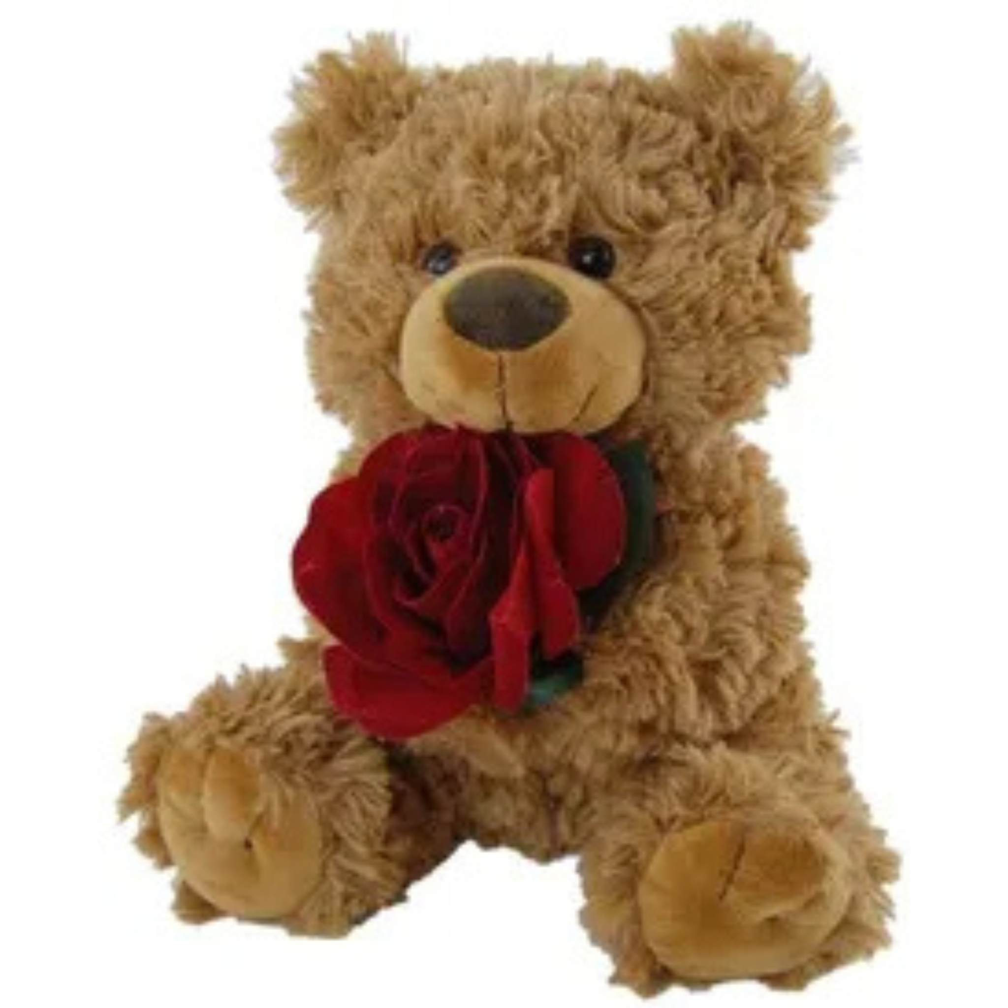 BROWN TEDDY BEAR <br>WITH RED ROSE<br>TILLY - 24CM