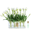 Oval Tulips<br> White - Gold Badge <br>OT01
