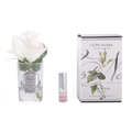 Rose Bud <br> Clear Glass - Pink Blush<br> GMR42