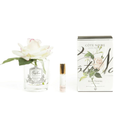 Single French Rose<br>Clear Glass -Pink Blush<br>GMR02