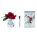Single French Rose<br>Clear Glass -Red<br>GMR04