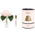 Charente Rose <br> Champagne Pink - CHR15