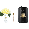 Charente Rose <br> Yellow - CHR08