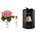 Charente Rose <br> Peach - CHR05