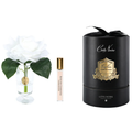 Charente Rose <br> Ivory White - CHR01
