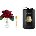 Charente Rose <br> Carmine Red - CHR04