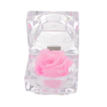 EVERLASTING PINK ROSE BOX