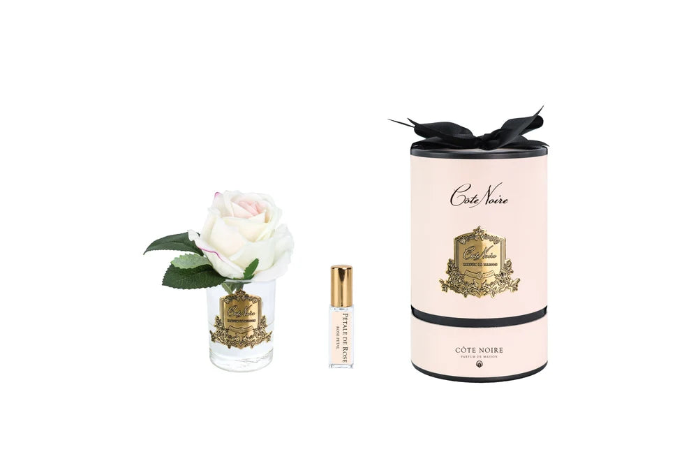 Côte Noire New Rose Bud in clear Blush - Pink Box & Gold Badge