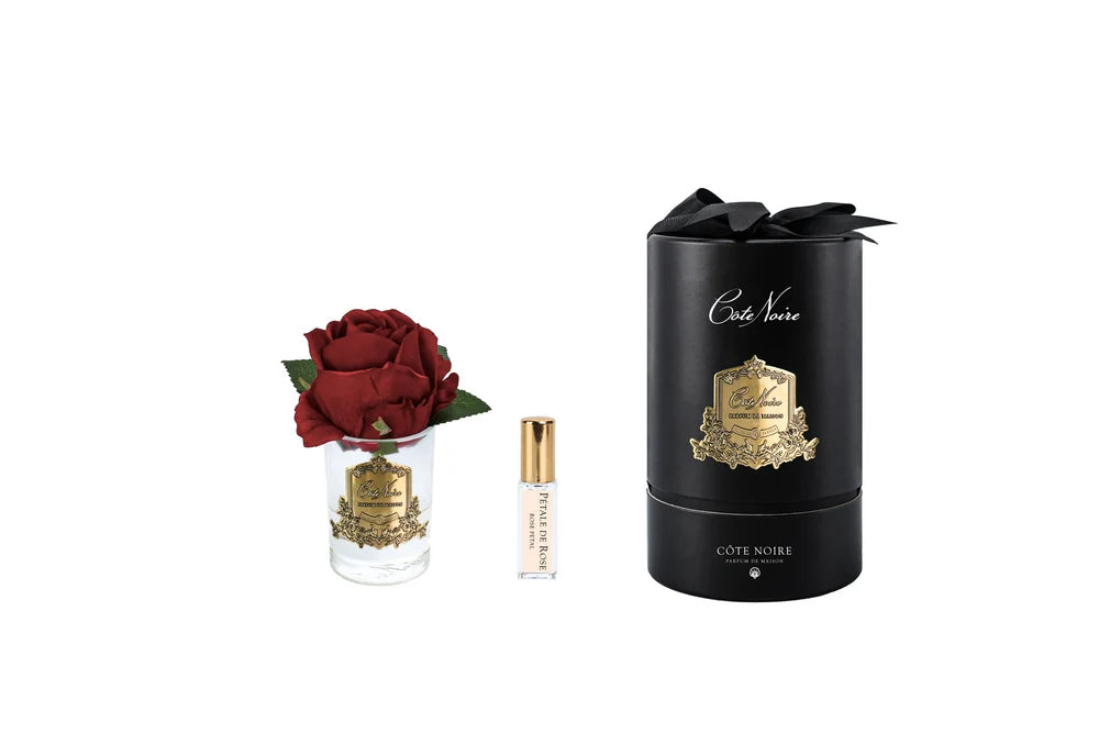 Côte Noire New Rose Bud in clear Red - Black Box & Gold Badge