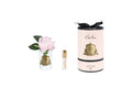 Côte Noire New Rose Bud in clear French Pink - Pink box & Gold Badge