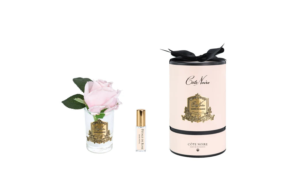 Côte Noire New Rose Bud in clear French Pink - Pink box & Gold Badge