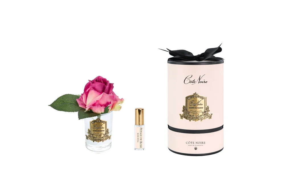 Côte Noire New Rose Bud in clear Magenta - Pink Box & Gold Badge