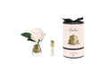Côte Noire New Rose Bud in clear Champagne Pink - Pink Box & Gold Badge