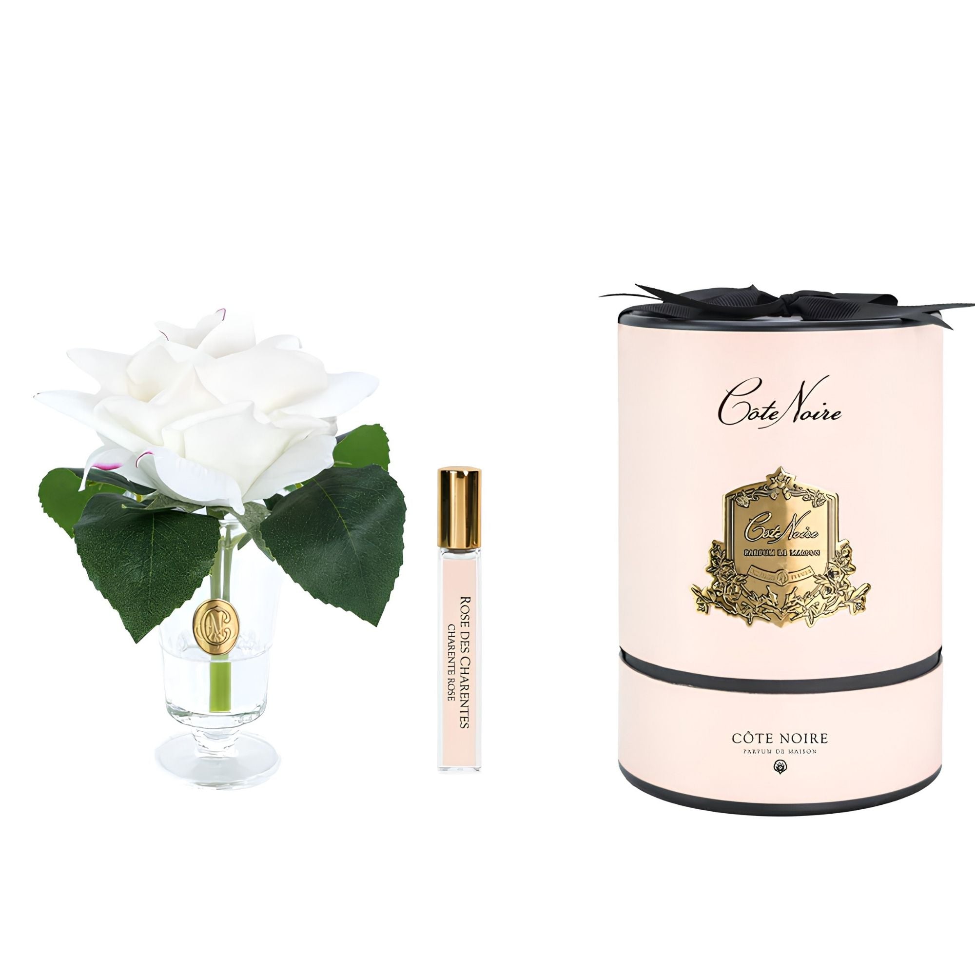 Côte Noire Pink Blush Charente Rose in fluted vase presented in gold and pink box