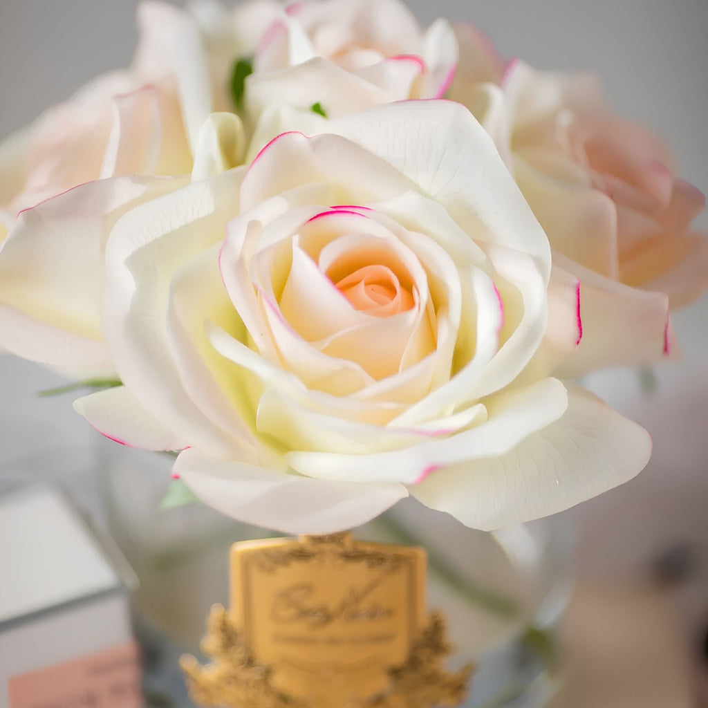 Close-up of Côte Noire Pink Blush Five Roses petals in gel