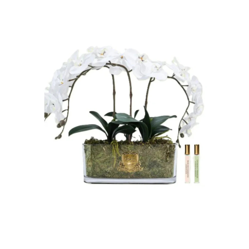 Côte Noire Oval Orchid Bouquet in White with gold signature badge