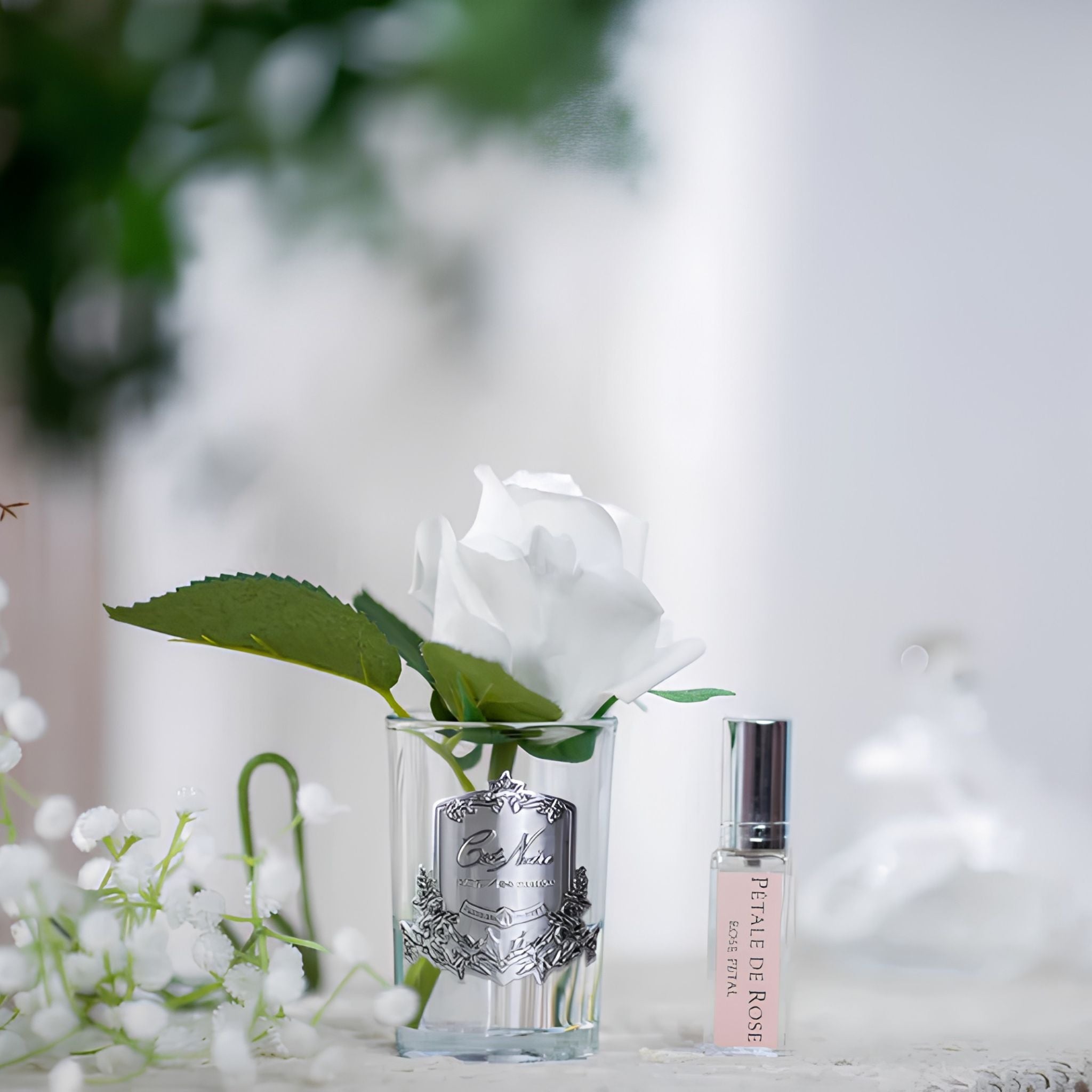 Côte Noire Ivory White Rose Bud GMR41 with gift box and Rose Petal perfume spray, Eve's Cards & Gifts