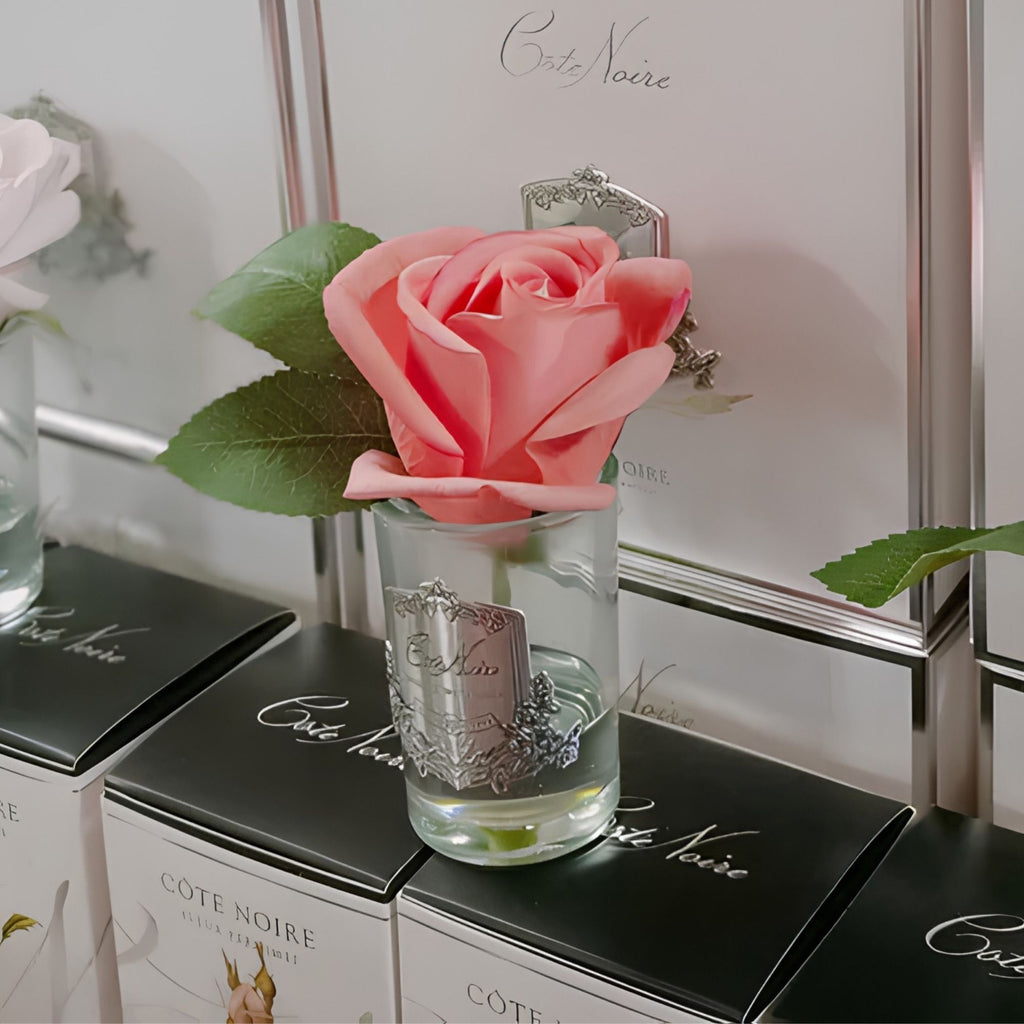Côte Noire Peach Rose Bud GMR45 with gift box and Rose Petal perfume spray, Eve's Cards & Gifts
