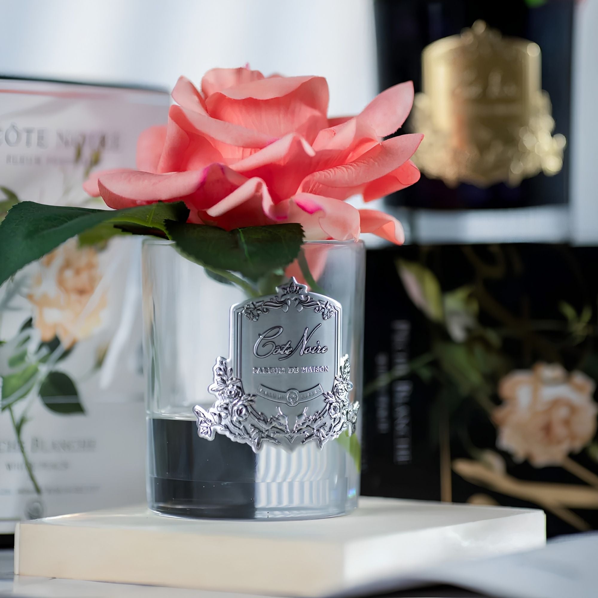 Côte Noire Single French Rose GMR05 with gift box and 10ml Rose Petal perfume, Eve's Cards & Gifts