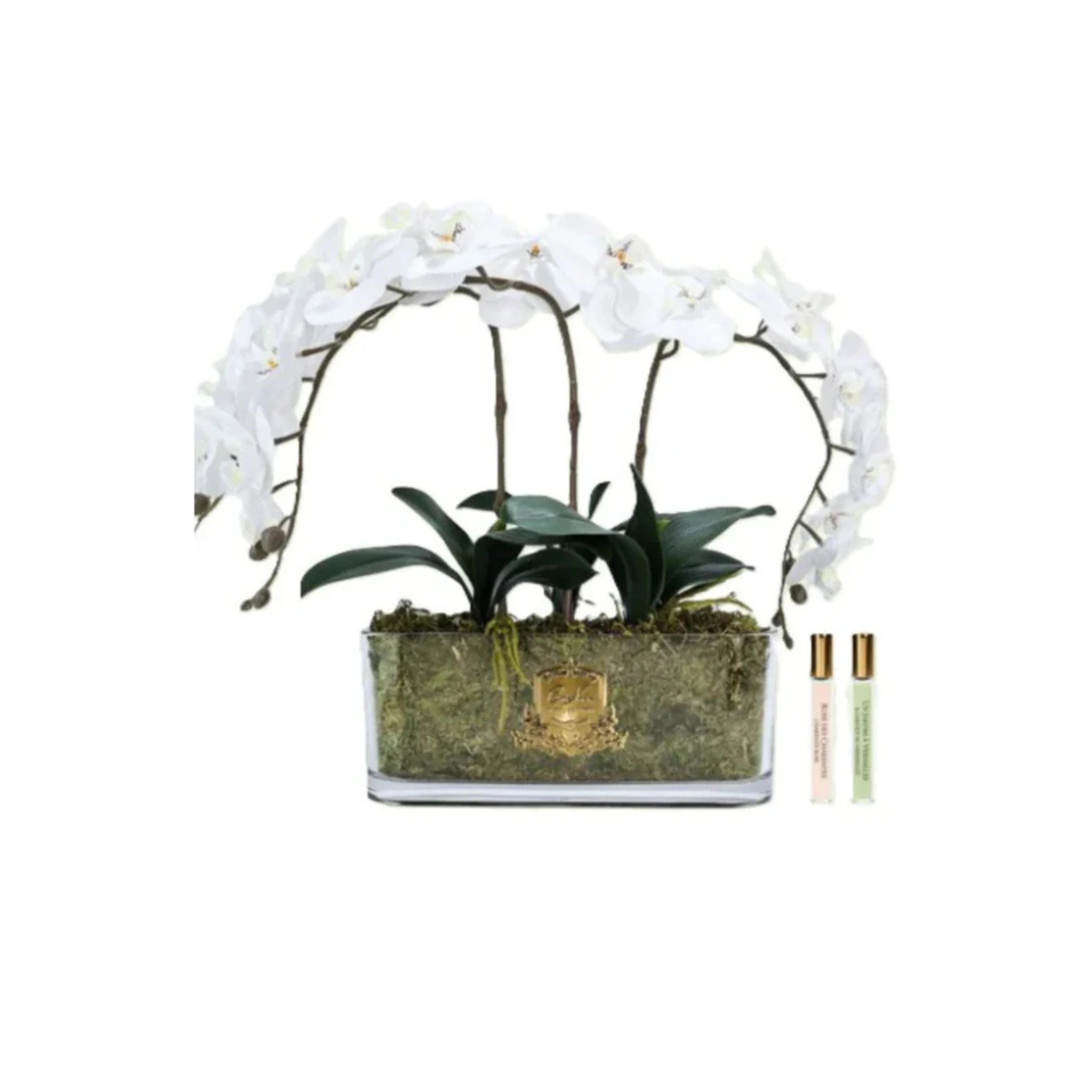 Oval Orchid <br> Bouquet - Ivory White <br> Gold Badge - OOV01
