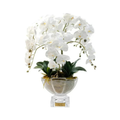 Luxury Orchid Centrepiece <br> Bouquet - White <br> Gold Badge - CPO01