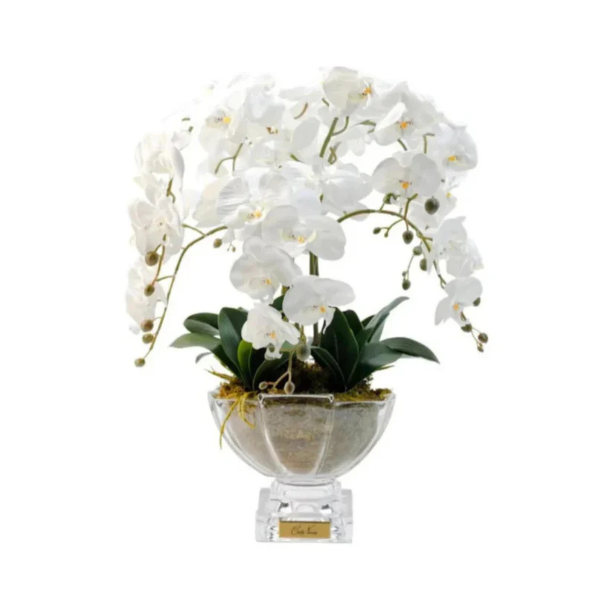 Luxury Orchid Centrepiece <br> Bouquet - White <br> Gold Badge - CPO01