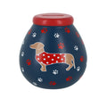 Pot of Dreams Dotty Dachshund ceramic money pot
