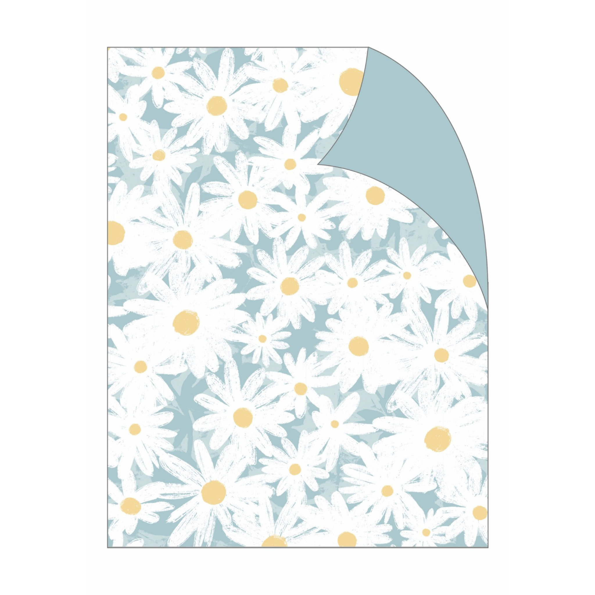 WRAP FLD HELEN'S DAISIES